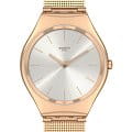 Swatch Swatch Skin Irony SYXG120M  SYXG120M кварцевые мужские часы серебристый циферблат, браслет нержавеющая сталь с pvd-покрытием — вид спереди
