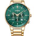 Citizen Citizen Basic AN8223-54X  AN8223-54X кварцевые мужские часы зеленый циферблат, браслет нержавеющая сталь с ip-покрытием — вид спереди