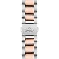 Omega Omega Seamaster Aqua Terra 220.20.34.20.59.001 seamaster швейцарские женские часы на браслете нержавеющая сталь + золото 18к боковой вид
