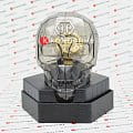 Philipp Plein Philipp Plein Plein Philipp PWRAA0323 PWRAA0323 оригинальные мужские часы в комплекте с коробкой
