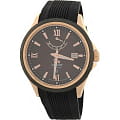Orient Orient FD0K001T (FFD0K001T)  FFD0K001T механические мужские часы  коричневый циферблат, браслет  — вид спереди