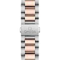 Omega Omega Seamaster Aqua Terra 220.20.41.21.06.001, seamaster швейцария мужские часы на браслете нержавеющая сталь + золото 18к боковой вид