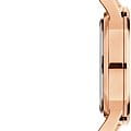 Оригинальные часы Daniel Wellington Daniel Wellington Iconic Link DW00100212 кварцевые калибр механизма  общий вид