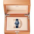 Omega Omega Seamaster Aqua Terra 220.13.41.21.03.003, seamaster швейцария мужские часы на браслете кожаный боковой вид