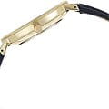 Anne Klein Anne Klein Leather 3836GPNV кварцевые женские часы часы, крупный план синий циферблат